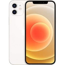 APPLE IPHONE 12 128GB USATO...