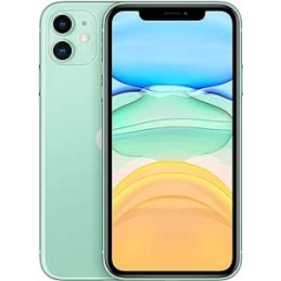 APPLE IPHONE 11 64GB USATO...