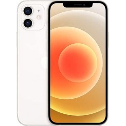 APPLE IPHONE 12 128GB USATO...