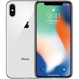 APPLE IPHONE X 256GB USATO...